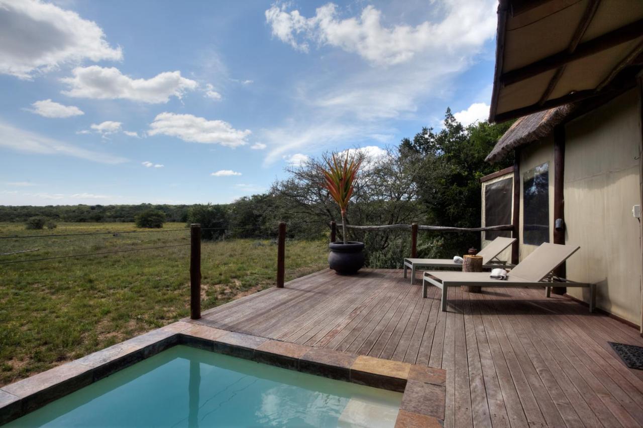 Bush Lodge - Amakhala Game Reserve Exterior photo